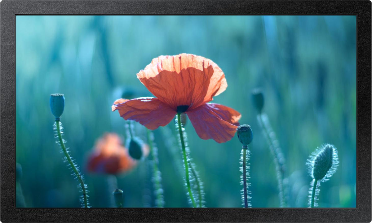 Samsung QB13C, 33 cm (13