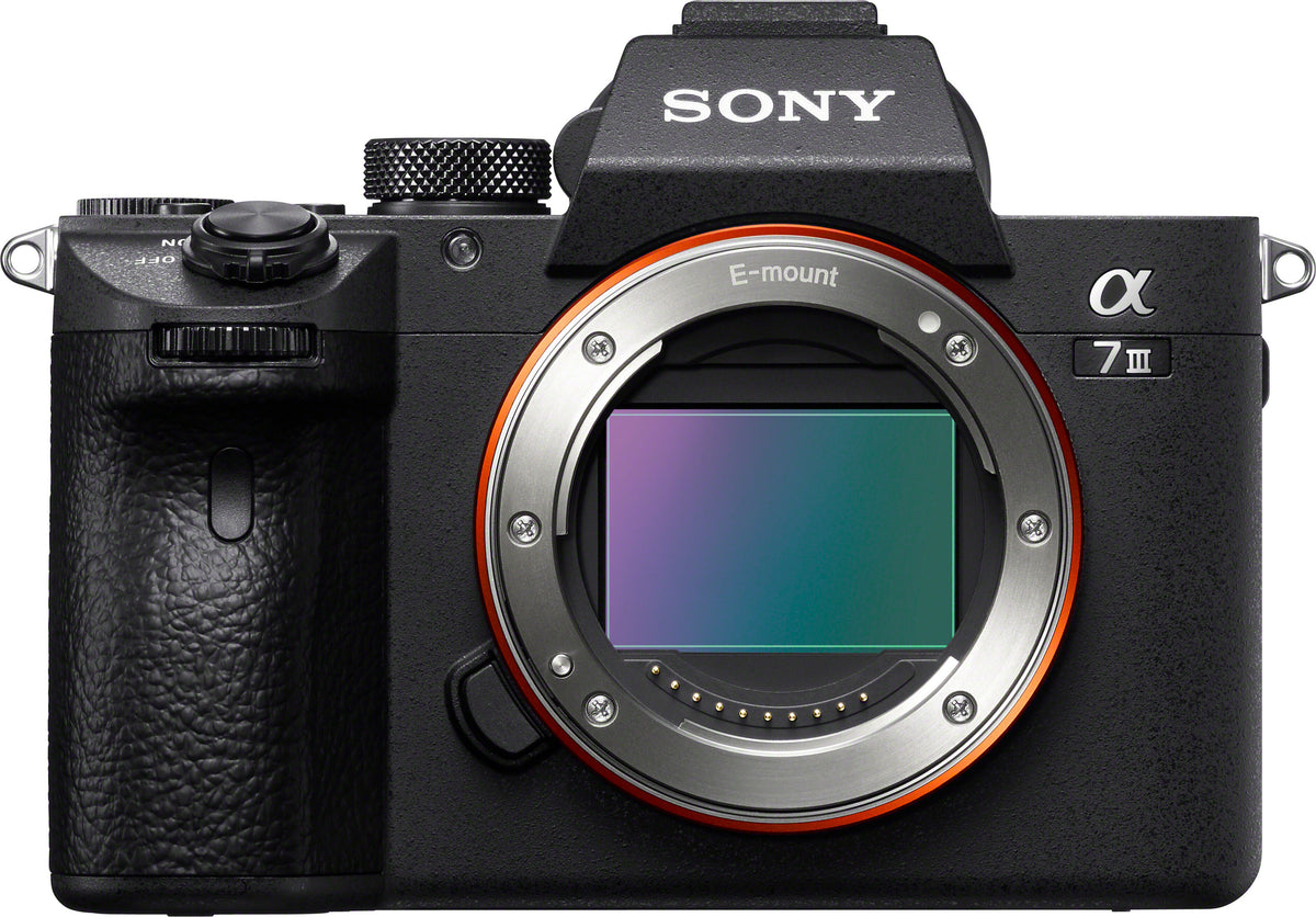 Sony α 7 III, 24,2 MP, 6000 x 4000 Pixel, CMOS, 4K Ultra HD, Touchscreen, Schwarz