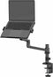 Neomounts DS20-425BL1 Tischhalterung für Laptops 11.6-17.3
