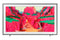 Samsung The Frame Pro LS03FW 75 Zoll Smart TV Q75LS03FW (2025)