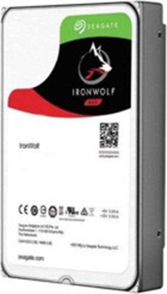 Seagate IronWolf ST10000VN000, 10 TB, 7200 RPM, 256 MB, 3.5