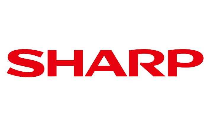 Sharp MX-607TL Primary Transfer Blade Kit für Sharp MX-3050N/MX-3070N/MX-3550N