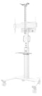 Neomounts AFLS-825WH1 Videobar und Multimedia-Kit - universal, Regal, 9 kg, 225 - 651 mm, Weiß, Stahl, 2,92 kg