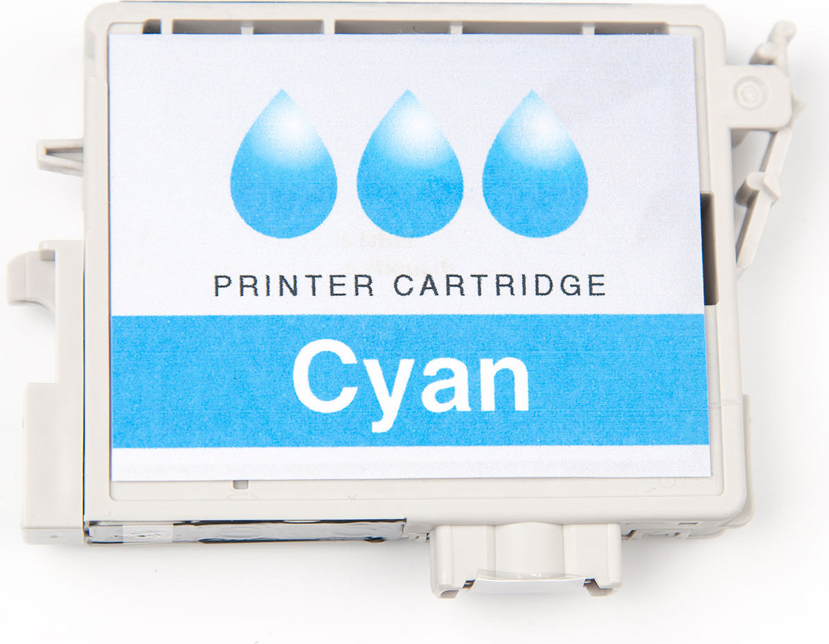 Ricoh Cyan - Reinigungskassette - für Ricoh
